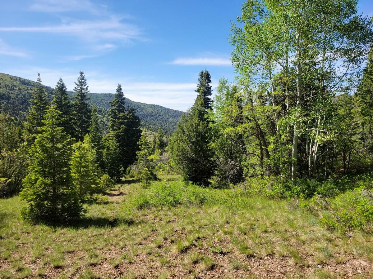 Braffits Creek Lot 61&62, Brian Head, photo 1