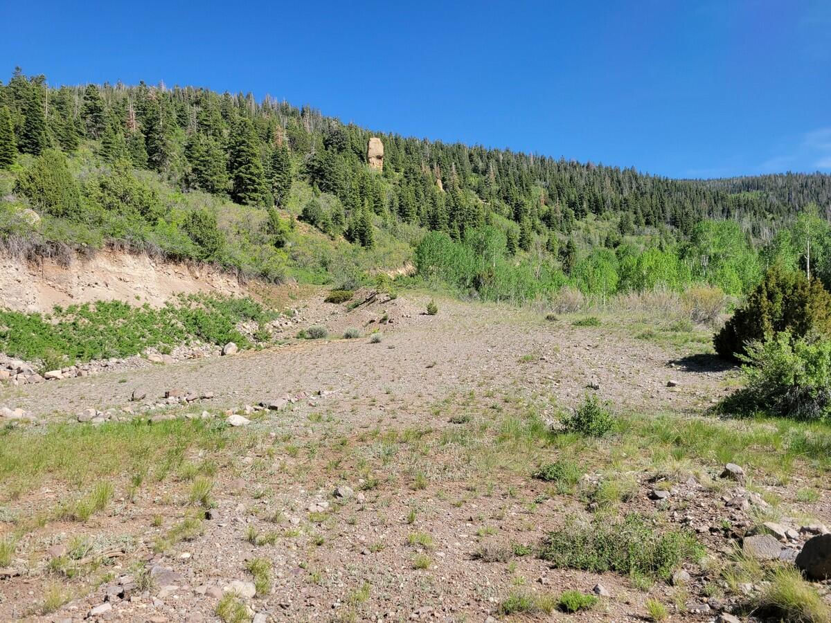 Braffits Creek Lot 61&62, Brian Head, photo 2 of 16