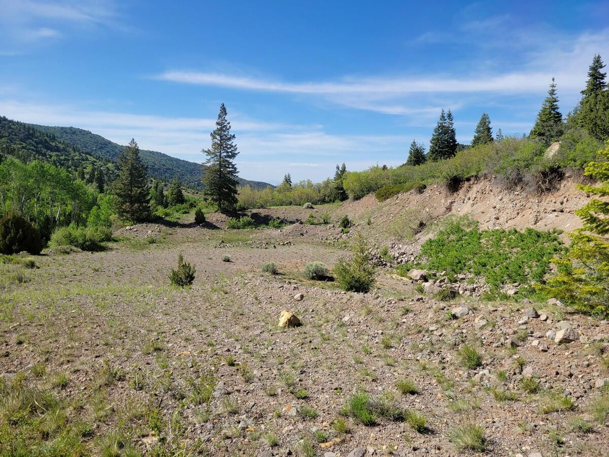 Braffits Creek Lot 61&62, Brian Head, photo 3 of 16