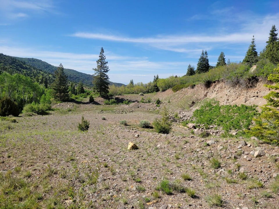 Braffits Creek Lot 61&62, Brian Head, photo 3