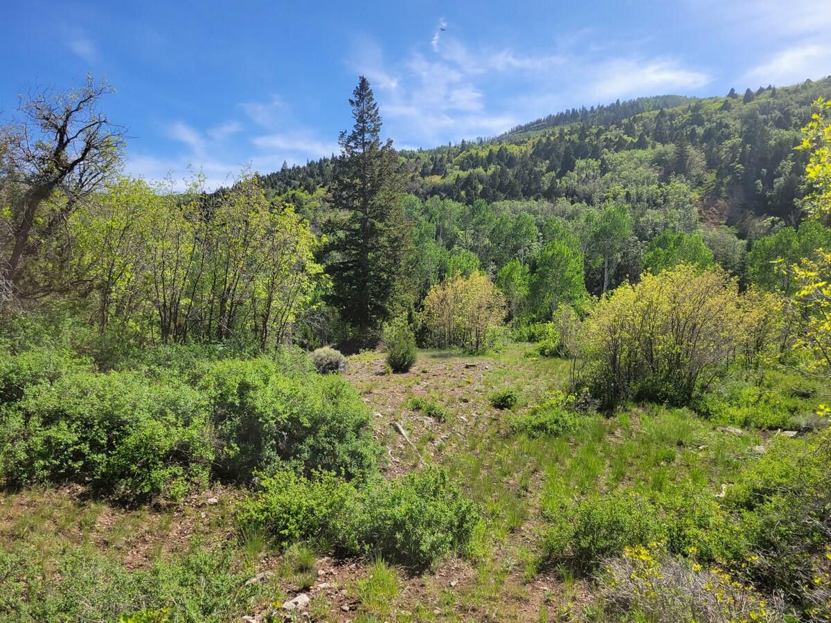 Braffits Creek Lot 61&62, Brian Head, photo 4 of 16