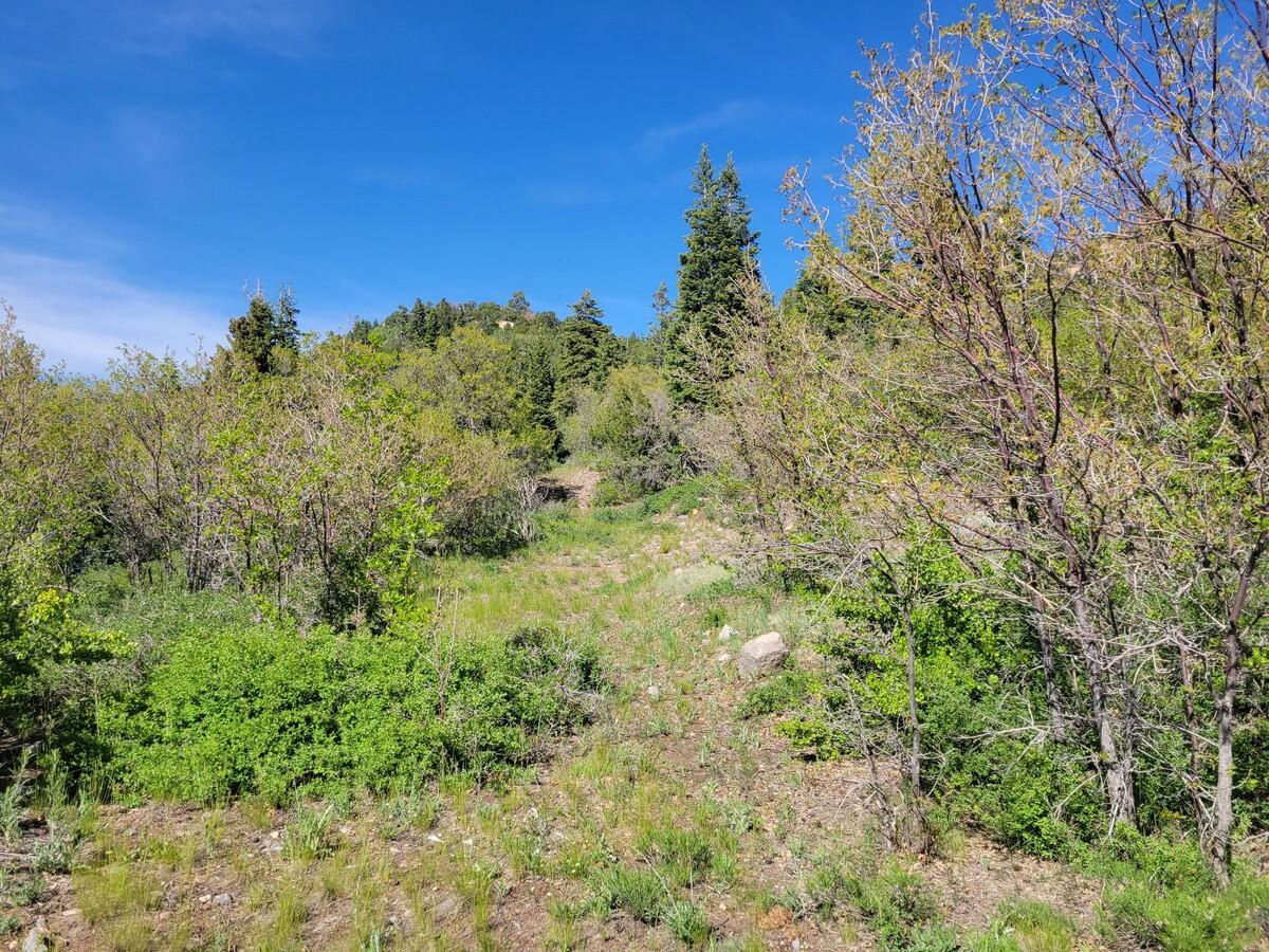 Braffits Creek Lot 61&62, Brian Head, photo 7 of 16