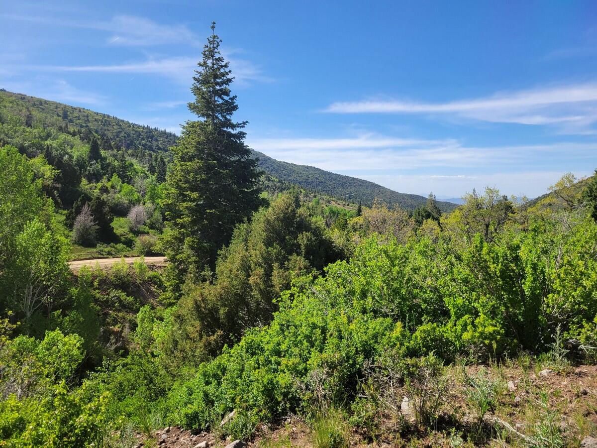 Braffits Creek Lot 61&62, Brian Head, photo 8 of 16