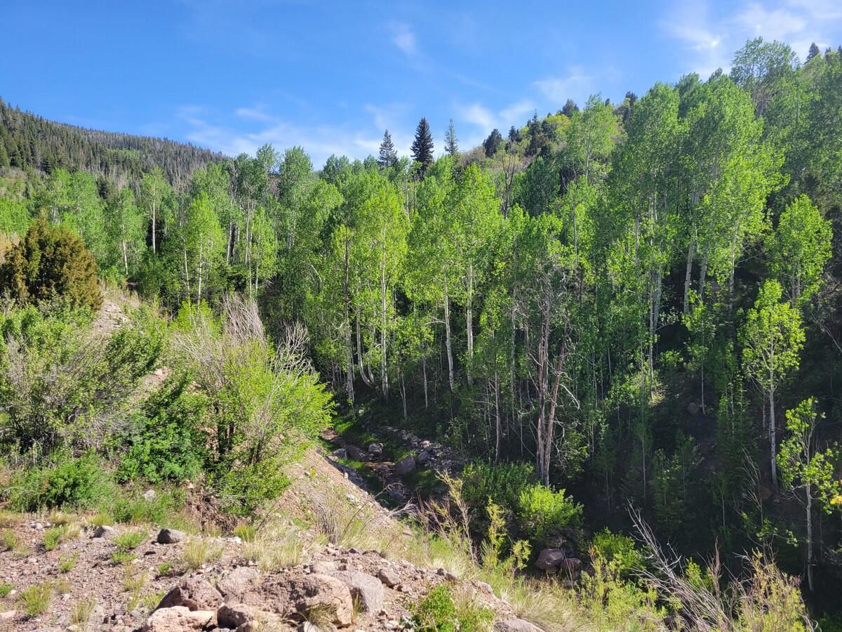 Braffits Creek Lot 61&62, Brian Head, photo 9 of 16