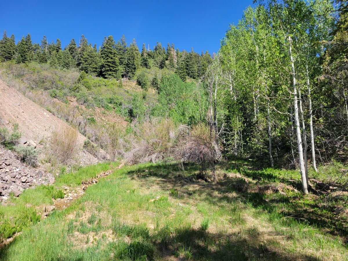 Braffits Creek Lot 61&62, Brian Head, photo 11 of 16