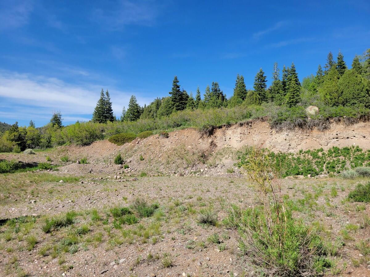 Braffits Creek Lot 61&62, Brian Head, photo 12 of 16