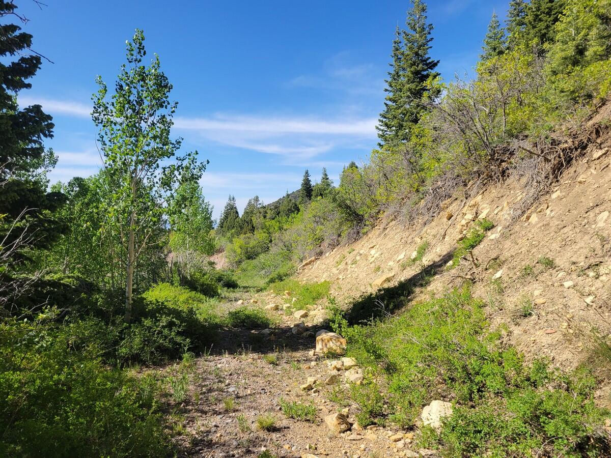 Braffits Creek Lot 61&62, Brian Head, photo 13 of 16