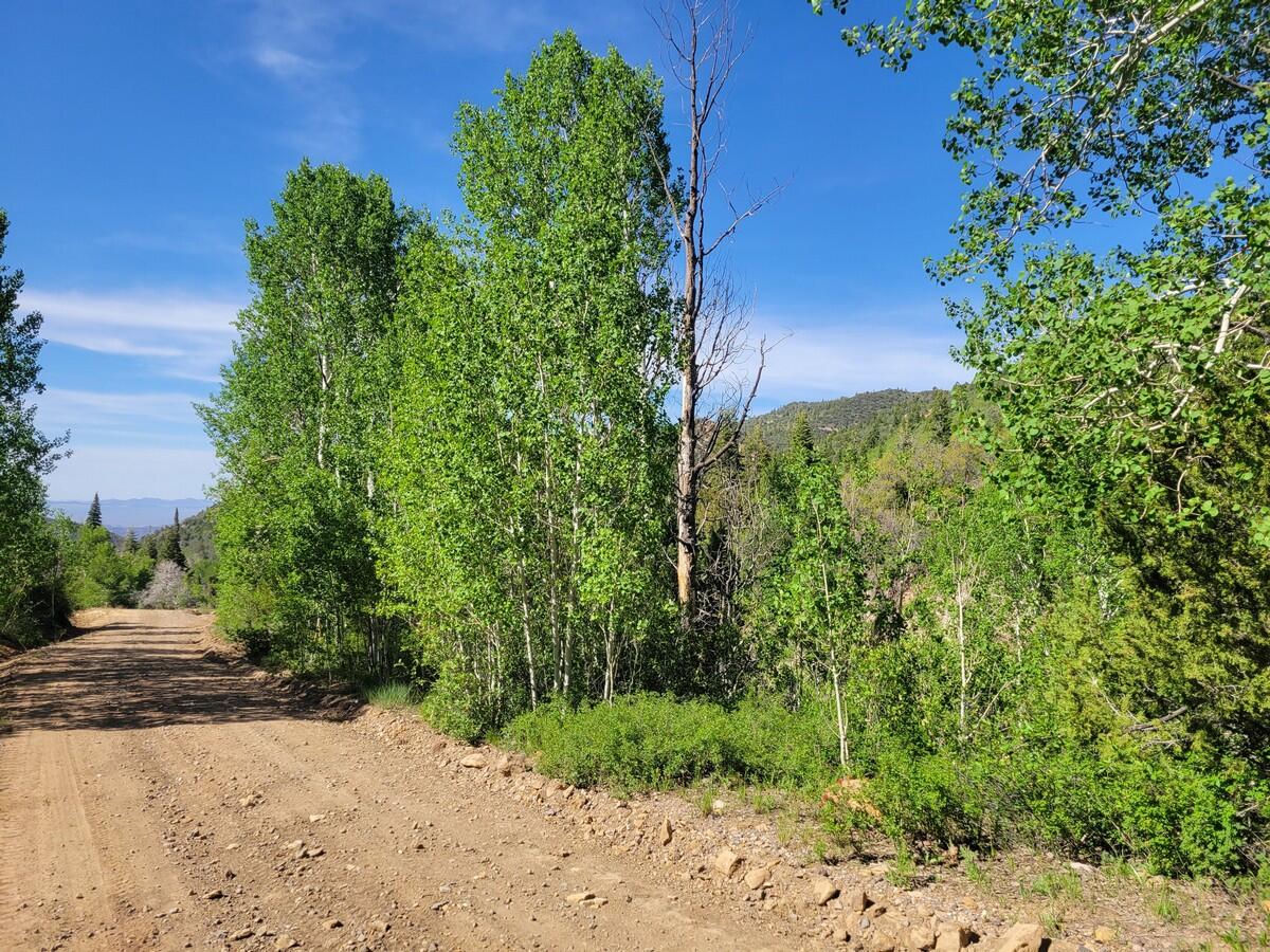 Braffits Creek Lot 61&62, Brian Head, photo 14 of 16