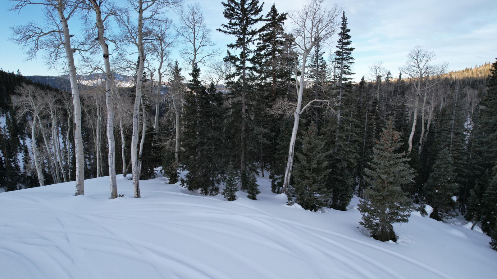 West Village Lot 29, Beaver, photo 16 of 25