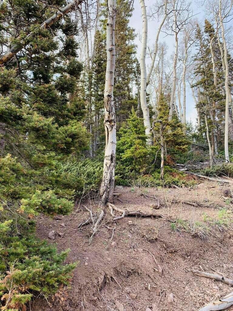 West Village Lot 28, Beaver, photo 25 of 27