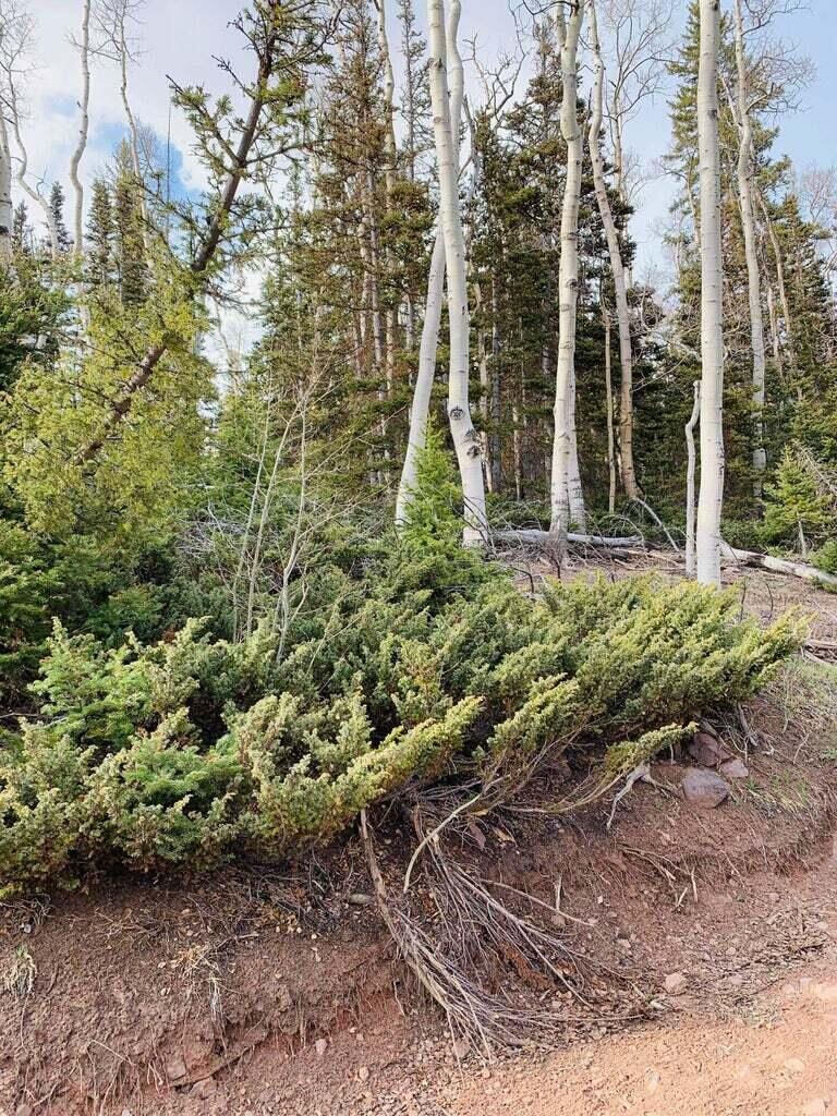 West Village Lot 28, Beaver, photo 26 of 27