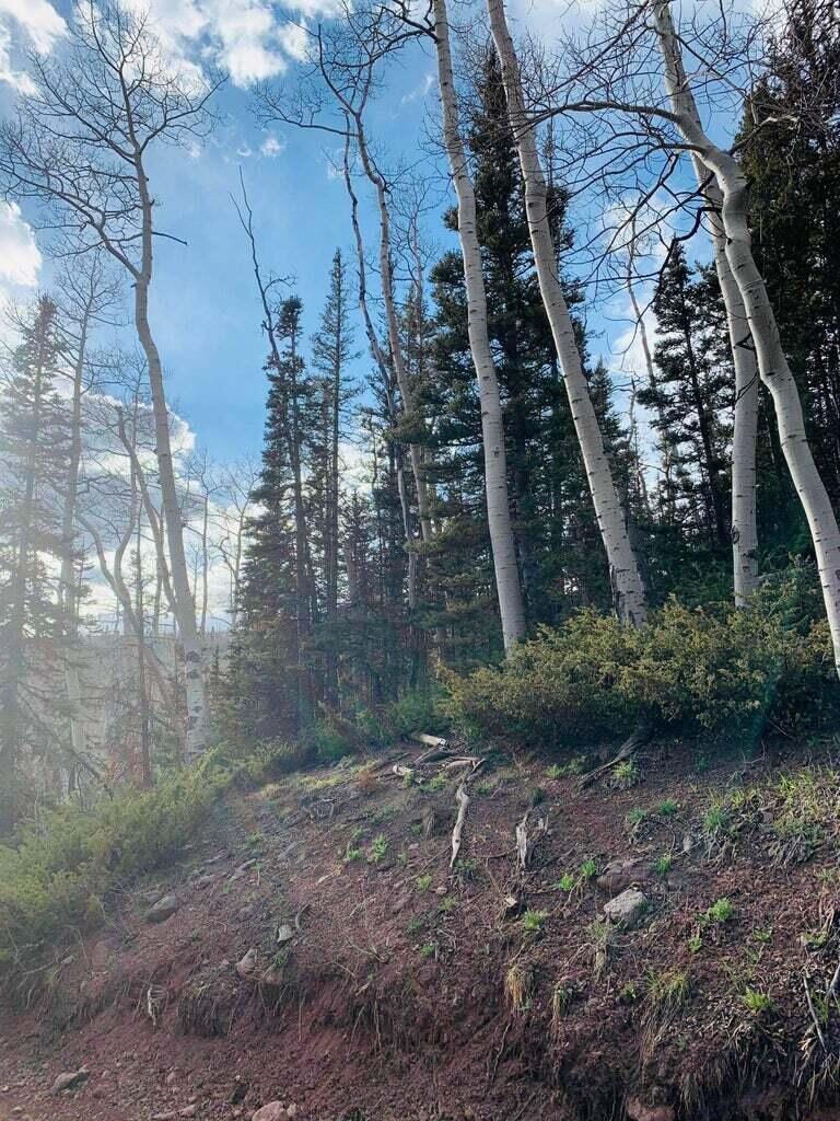 West Village Lot 28, Beaver, photo 22 of 27