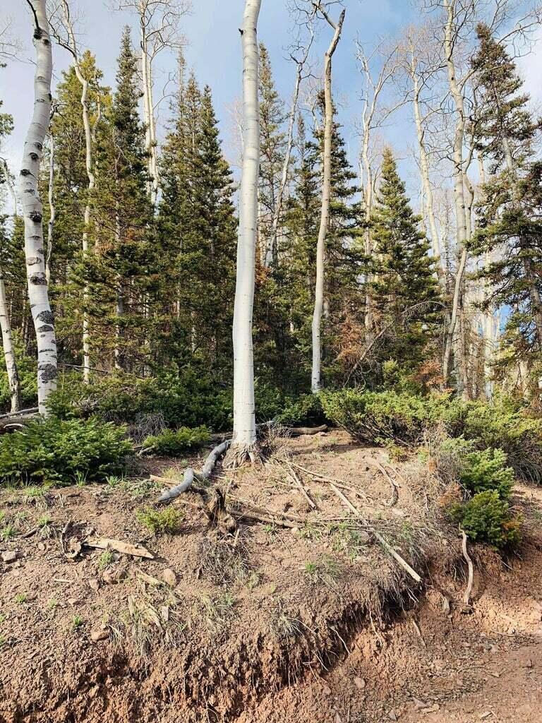 West Village Lot 28, Beaver, photo 27 of 27