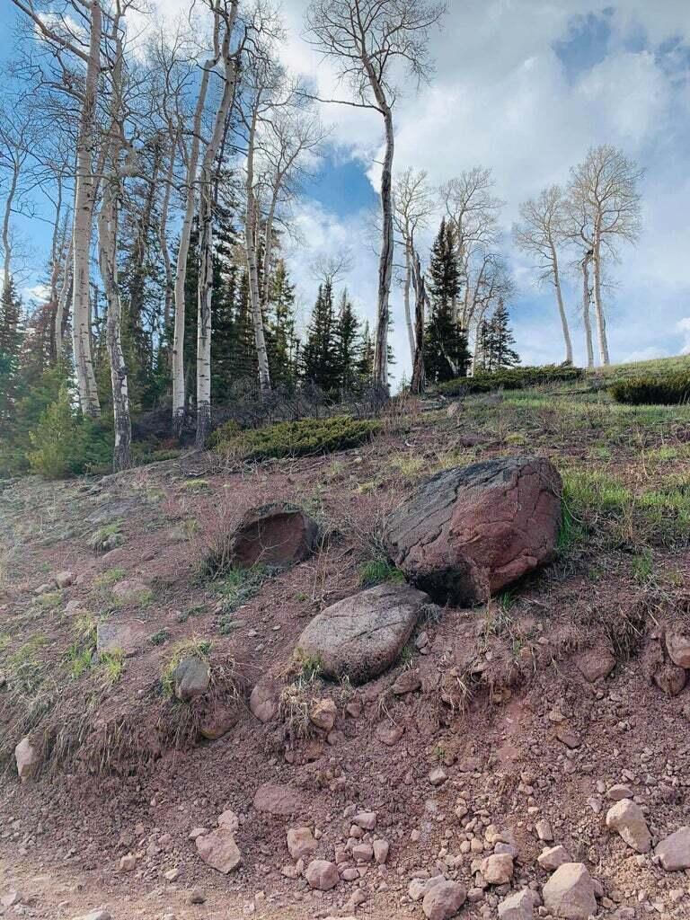 West Village Lot 29, Beaver, photo 19 of 25