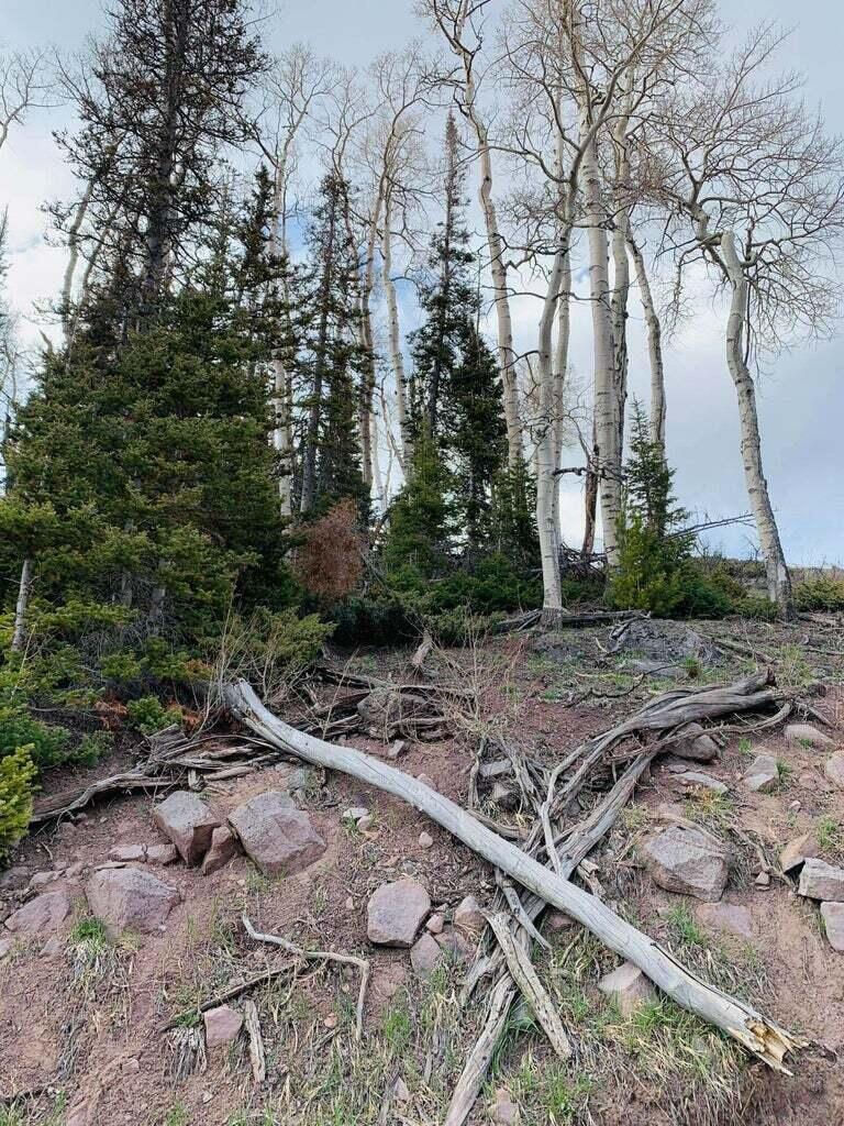 West Village Lot 29, Beaver, photo 20 of 25