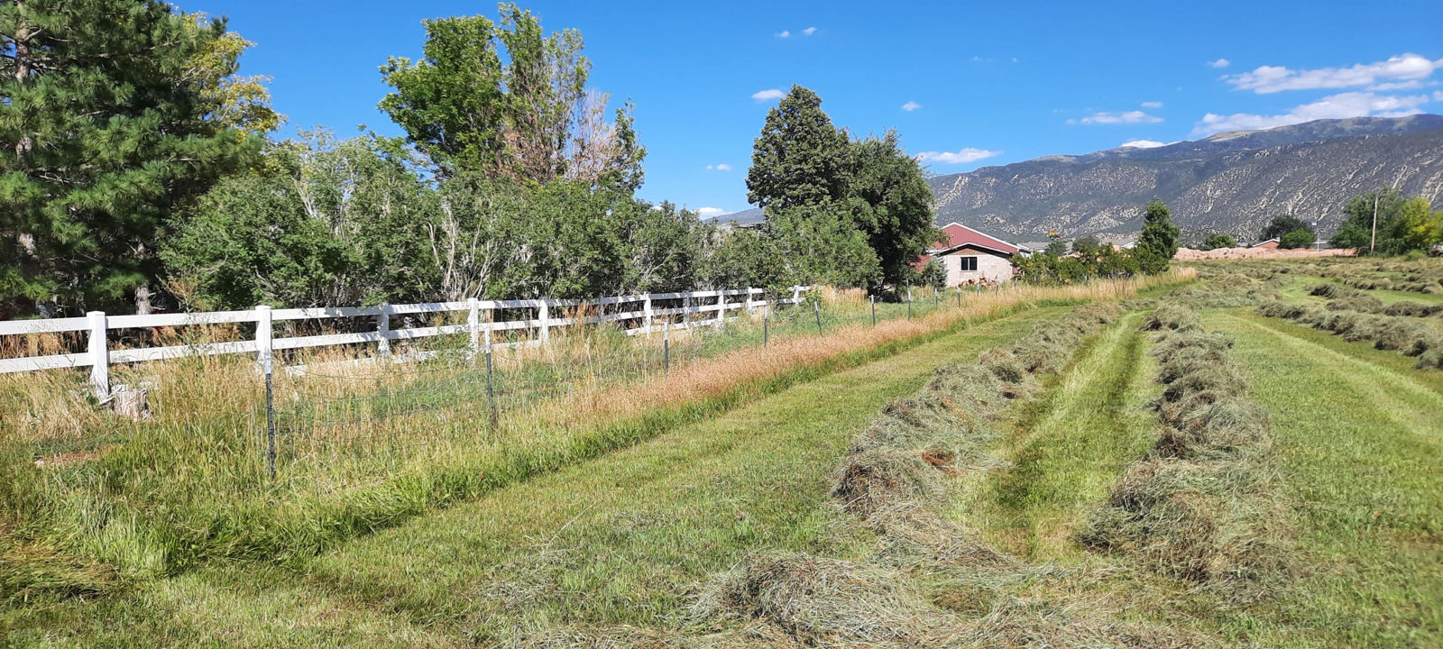 2626 N 400 West, Cedar City, photo 6 of 45