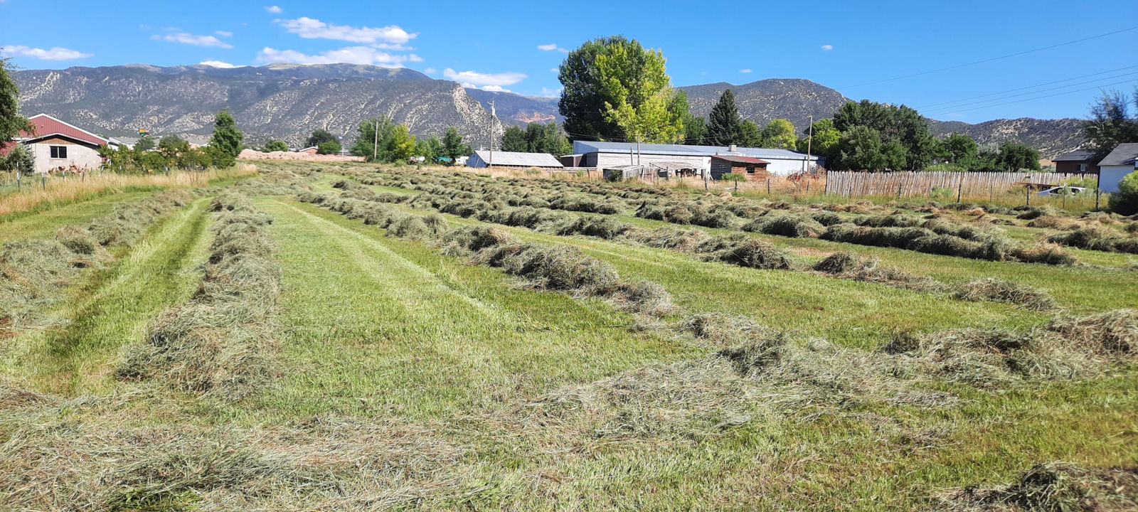 2626 N 400 West, Cedar City, photo 4 of 45