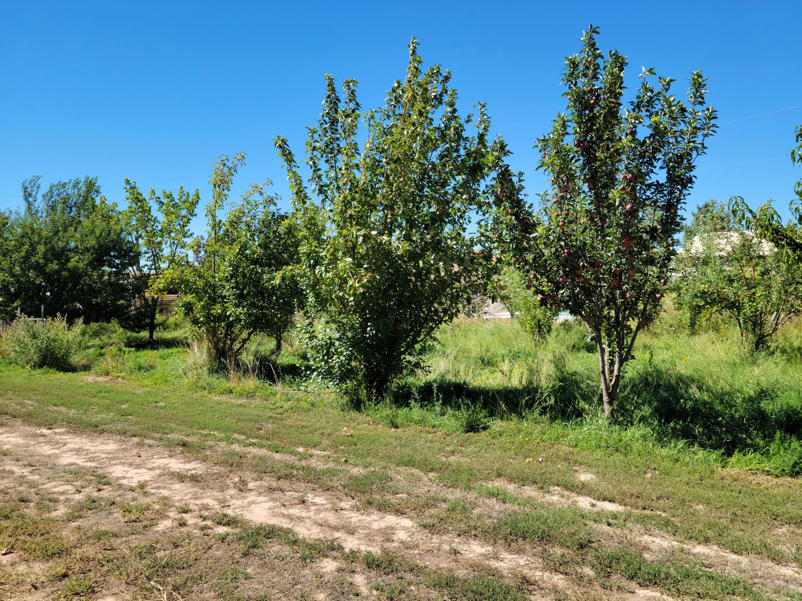 2626 N 400 West, Cedar City, photo 9 of 45
