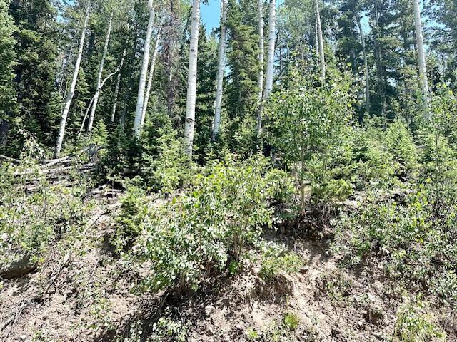 55 S Snow Shoe, Lot 1 Blk B, Brian Head, photo 1