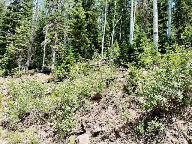 55 S Snow Shoe, Lot 1 Blk B, Brian Head, photo 2