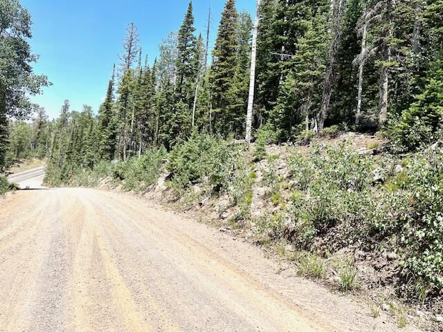 55 S Snow Shoe, Lot 1 Blk B, Brian Head, photo 3