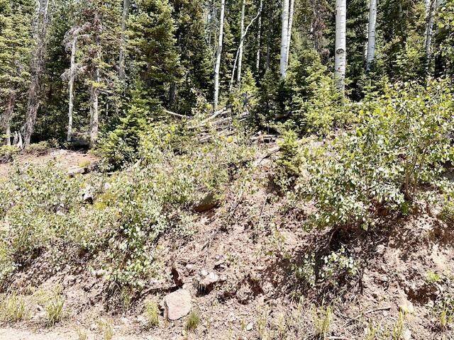55 S Snow Shoe, Lot 1 Blk B, Brian Head, photo 4 of 26