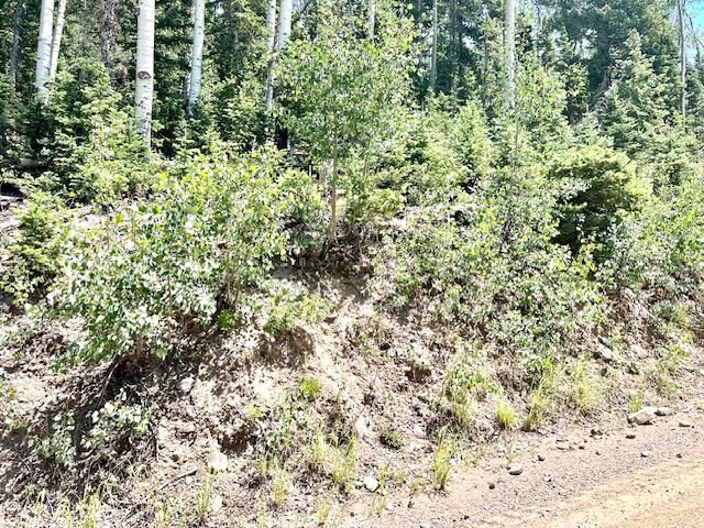 55 S Snow Shoe, Lot 1 Blk B, Brian Head, photo 5 of 26
