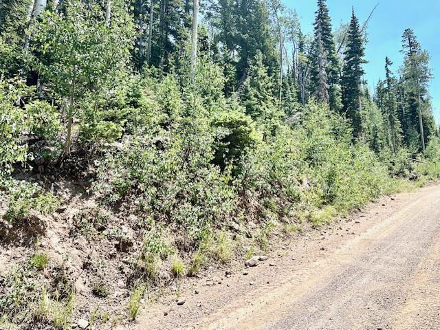 55 S Snow Shoe, Lot 1 Blk B, Brian Head, photo 6 of 26