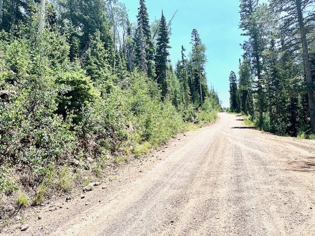 55 S Snow Shoe, Lot 1 Blk B, Brian Head, photo 7 of 26
