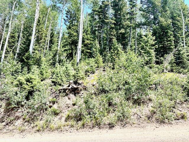 55 S Snow Shoe, Lot 1 Blk B, Brian Head, photo 8 of 26