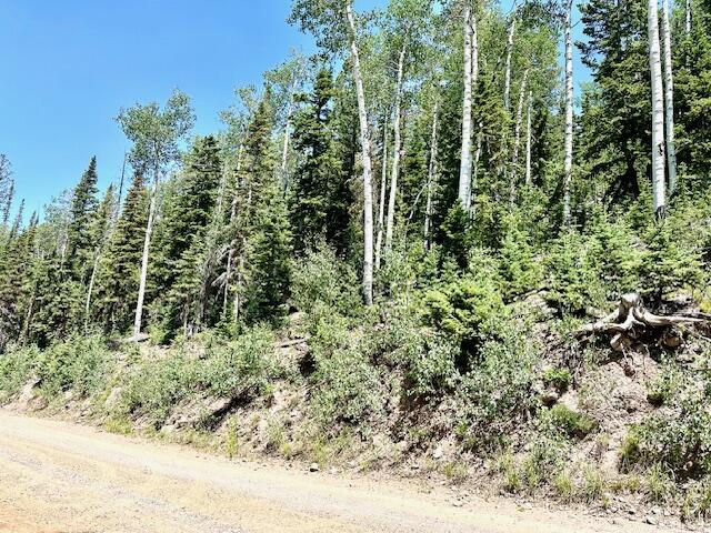 55 S Snow Shoe, Lot 1 Blk B, Brian Head, photo 9 of 26