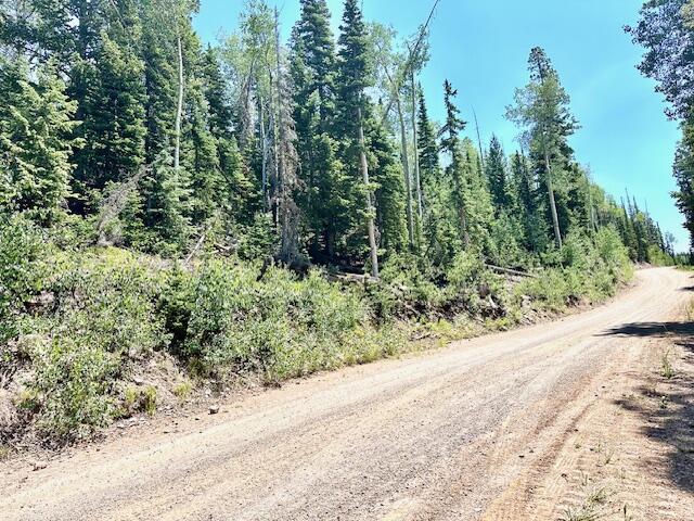 55 S Snow Shoe, Lot 1 Blk B, Brian Head, photo 10 of 26