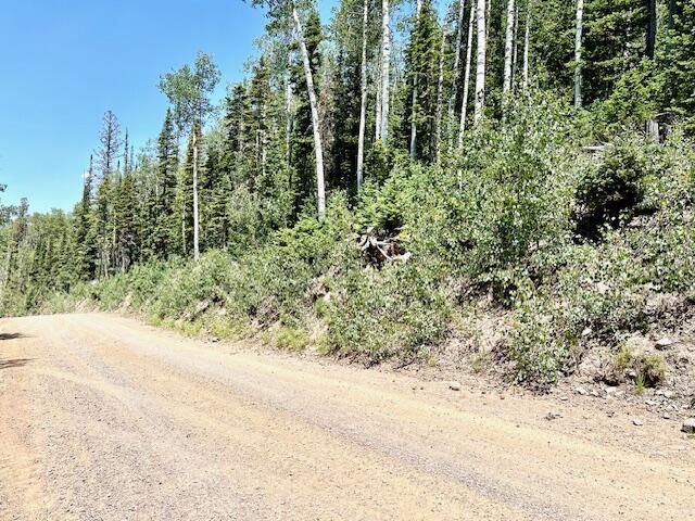 55 S Snow Shoe, Lot 1 Blk B, Brian Head, photo 11 of 26