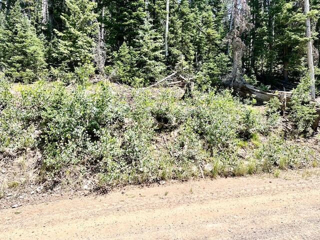 55 S Snow Shoe, Lot 1 Blk B, Brian Head, photo 12 of 26