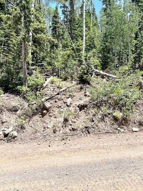 55 S Snow Shoe, Lot 1 Blk B, Brian Head, photo 14 of 26