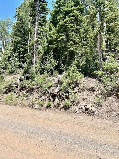 55 S Snow Shoe, Lot 1 Blk B, Brian Head, photo 15 of 26