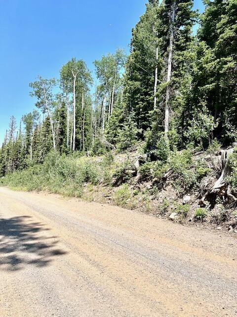 55 S Snow Shoe, Lot 1 Blk B, Brian Head, photo 16 of 26