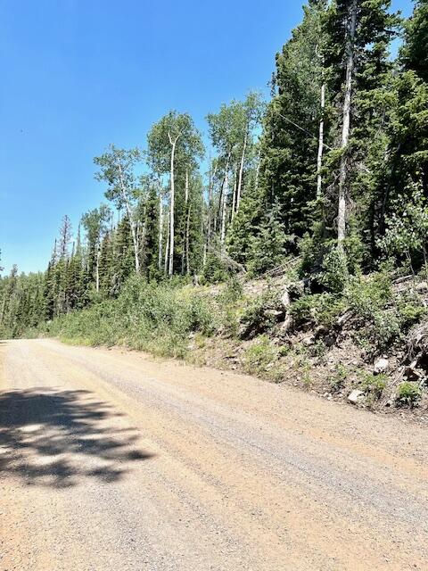 55 S Snow Shoe, Lot 1 Blk B, Brian Head, photo 17 of 26