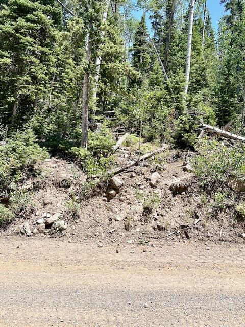 55 S Snow Shoe, Lot 1 Blk B, Brian Head, photo 18 of 26