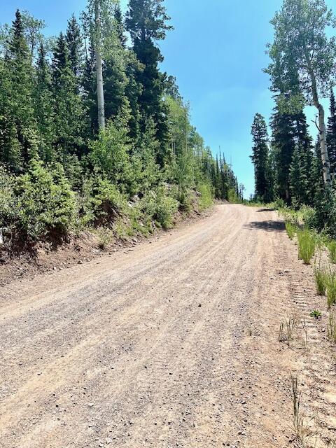 55 S Snow Shoe, Lot 1 Blk B, Brian Head, photo 19 of 26