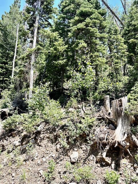 55 S Snow Shoe, Lot 1 Blk B, Brian Head, photo 20 of 26