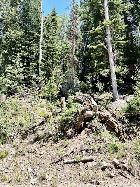 55 S Snow Shoe, Lot 1 Blk B, Brian Head, photo 21 of 26