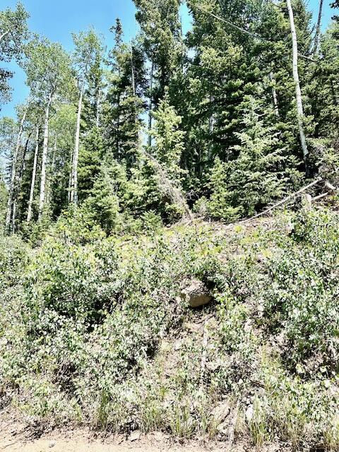 55 S Snow Shoe, Lot 1 Blk B, Brian Head, photo 22 of 26