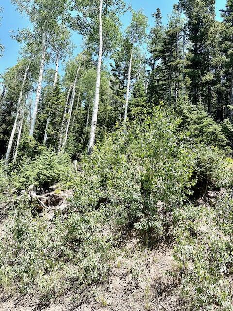 55 S Snow Shoe, Lot 1 Blk B, Brian Head, photo 23 of 26