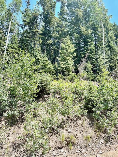 55 S Snow Shoe, Lot 1 Blk B, Brian Head, photo 24 of 26