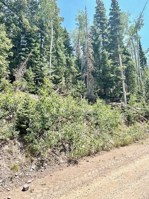 55 S Snow Shoe, Lot 1 Blk B, Brian Head, photo 25 of 26
