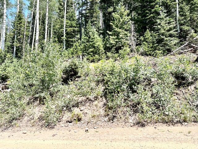 55 S Snow Shoe, Lot 1 Blk B, Brian Head, photo 26 of 26