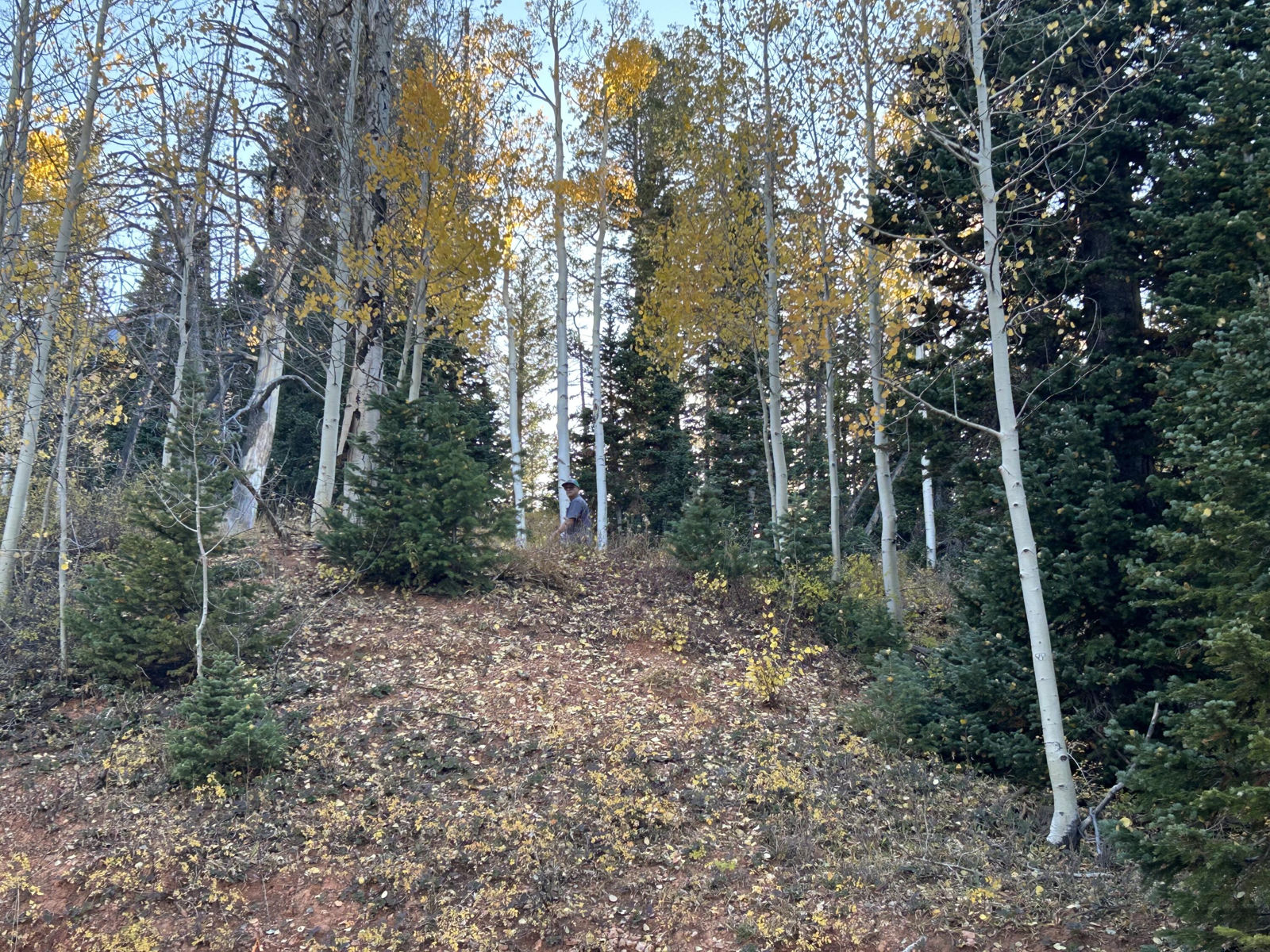 660 W Ski View DR, Brian Head, photo 7 of 11