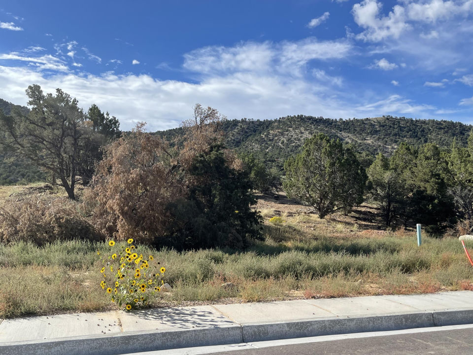 1918 N Pinyon Grove CIR N, Cedar City, photo 2