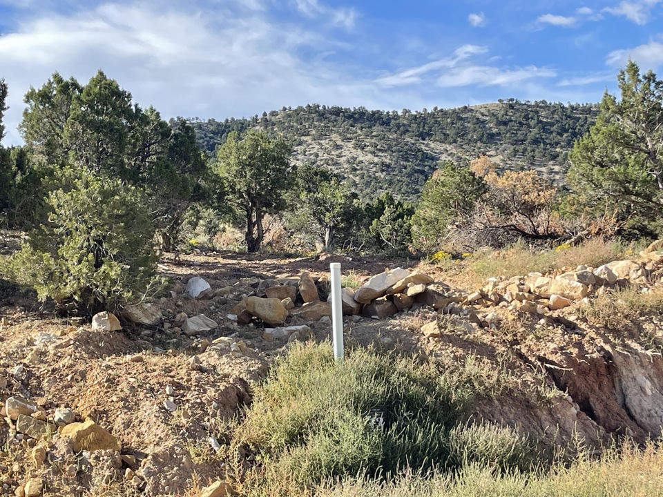 1940 N Pinyon Grove CIR, Cedar City